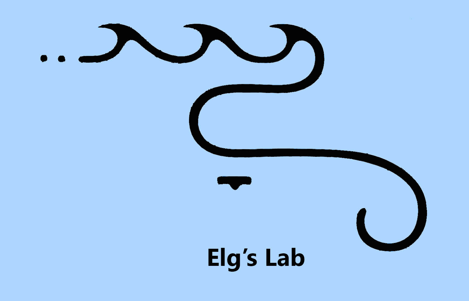 Elg's Lab.